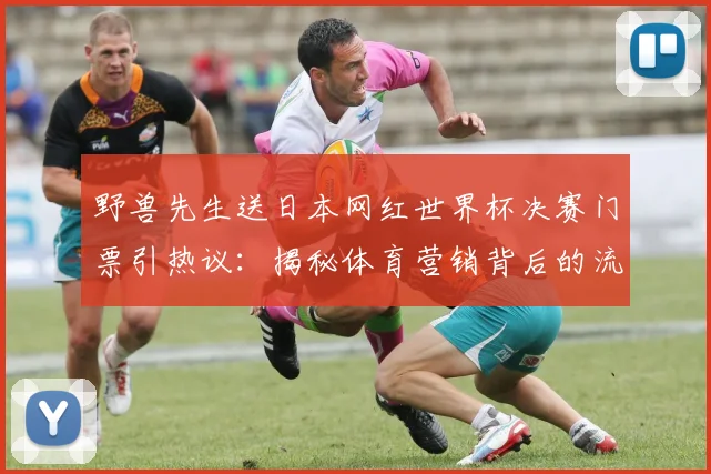 野兽先生送日本网红世界杯决赛门票引热议：揭秘体育营销背后的流量密码与粉丝经济新趋势